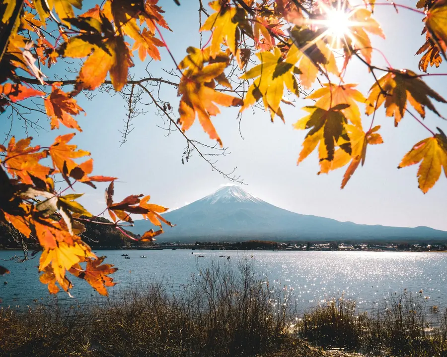 紅葉越しに見る富士山と湖（イメージ）